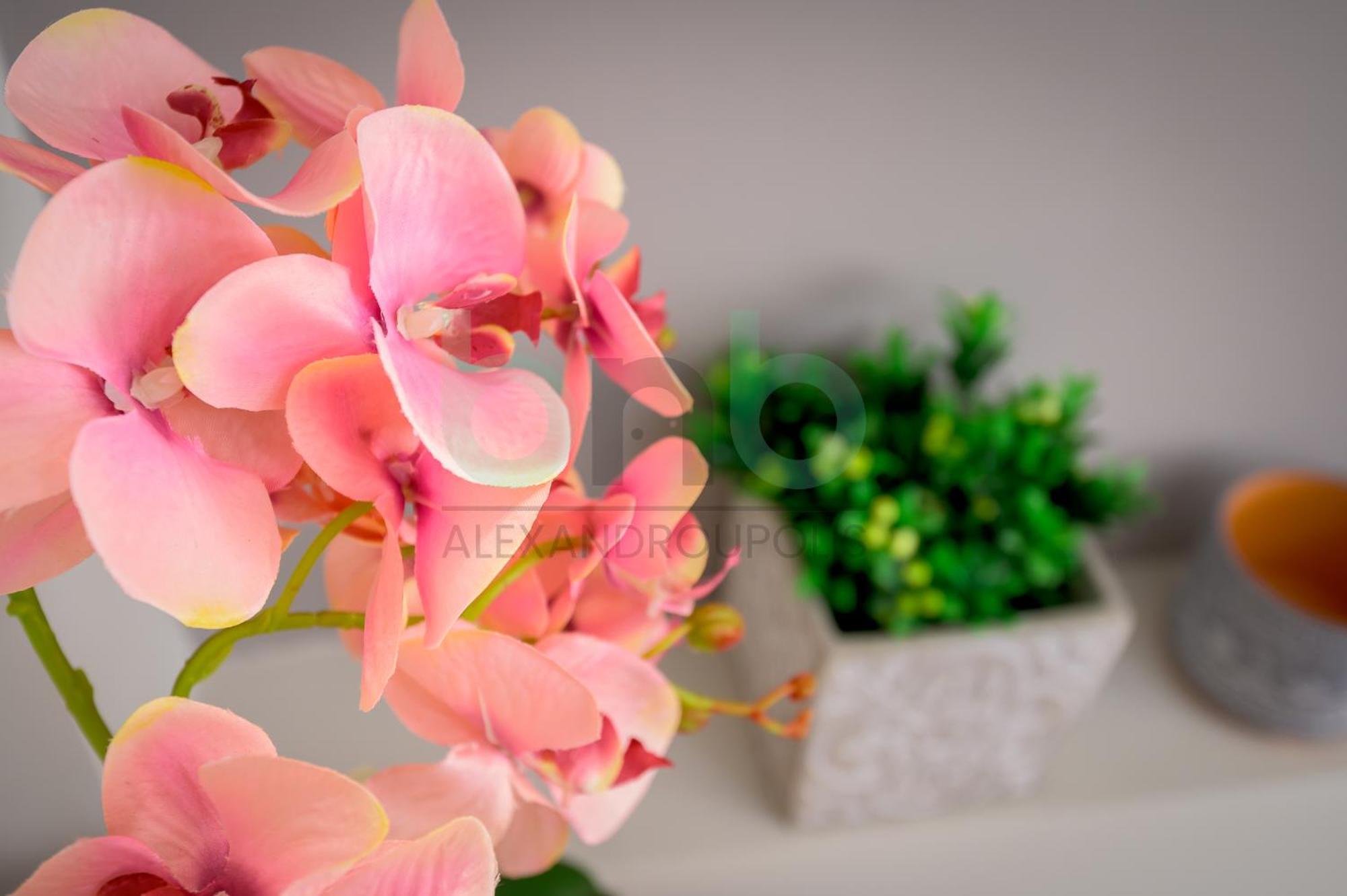 The Floral Suite أليكسانثيربوليس المظهر الخارجي الصورة